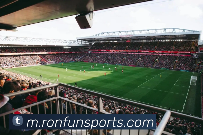 体育下注服务体系